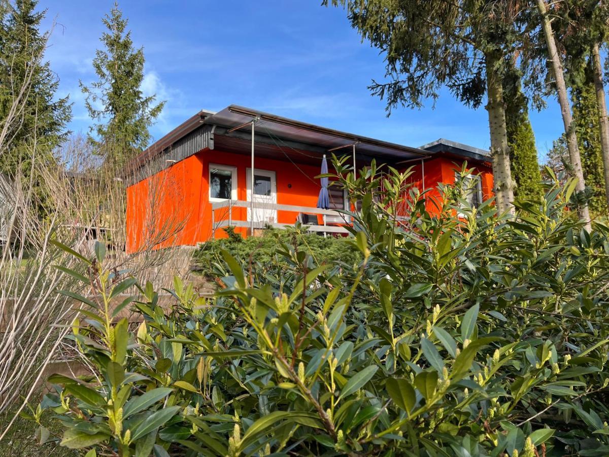 Ferienhaus Zeulenrodaer Meer Exterior foto